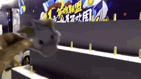图16.gif