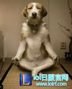 套路新玩法 就算是辅助也能CARRY全场