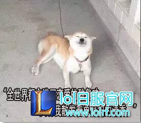 LOL史上最惨男友 一年被女朋友害封号两次