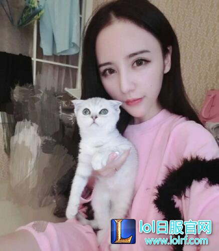 lol宠物甜在哪直播 lol宠物甜妹子介绍