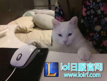 炉不撕财富榜第二季第二期 哈里森•囚徒