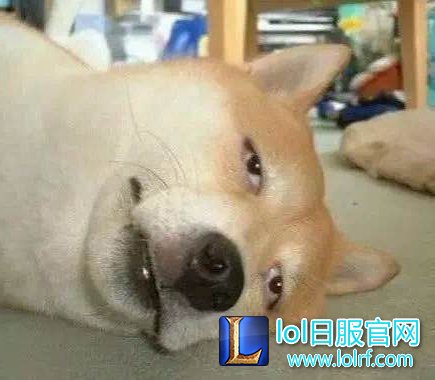 0b06194c510fd9f96b1fcabb232dd42a2a34a4d3_副本.jpg