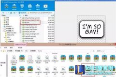 客户端现im so gay：拳头回应不会歧视同性恋,lol日服注册