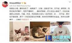 若风宠物猫坠楼 微博自责心疼小猫,lol日服注册