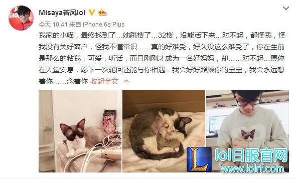 若风宠物猫坠楼 微博自责心疼小猫