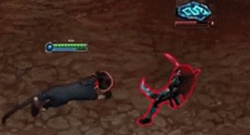 豹子.gif