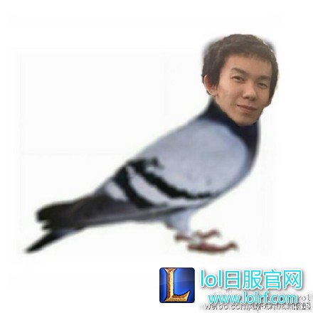 转会风云：娜美称合同问题暂时不能露面