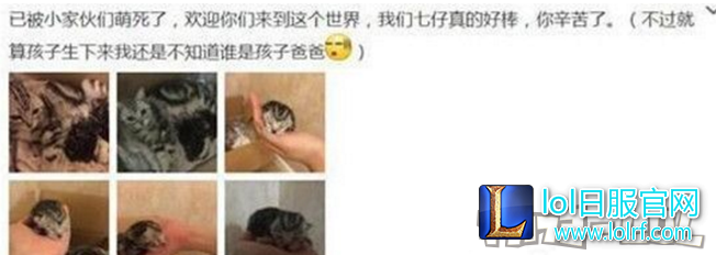 QQ截图20161230145918.png