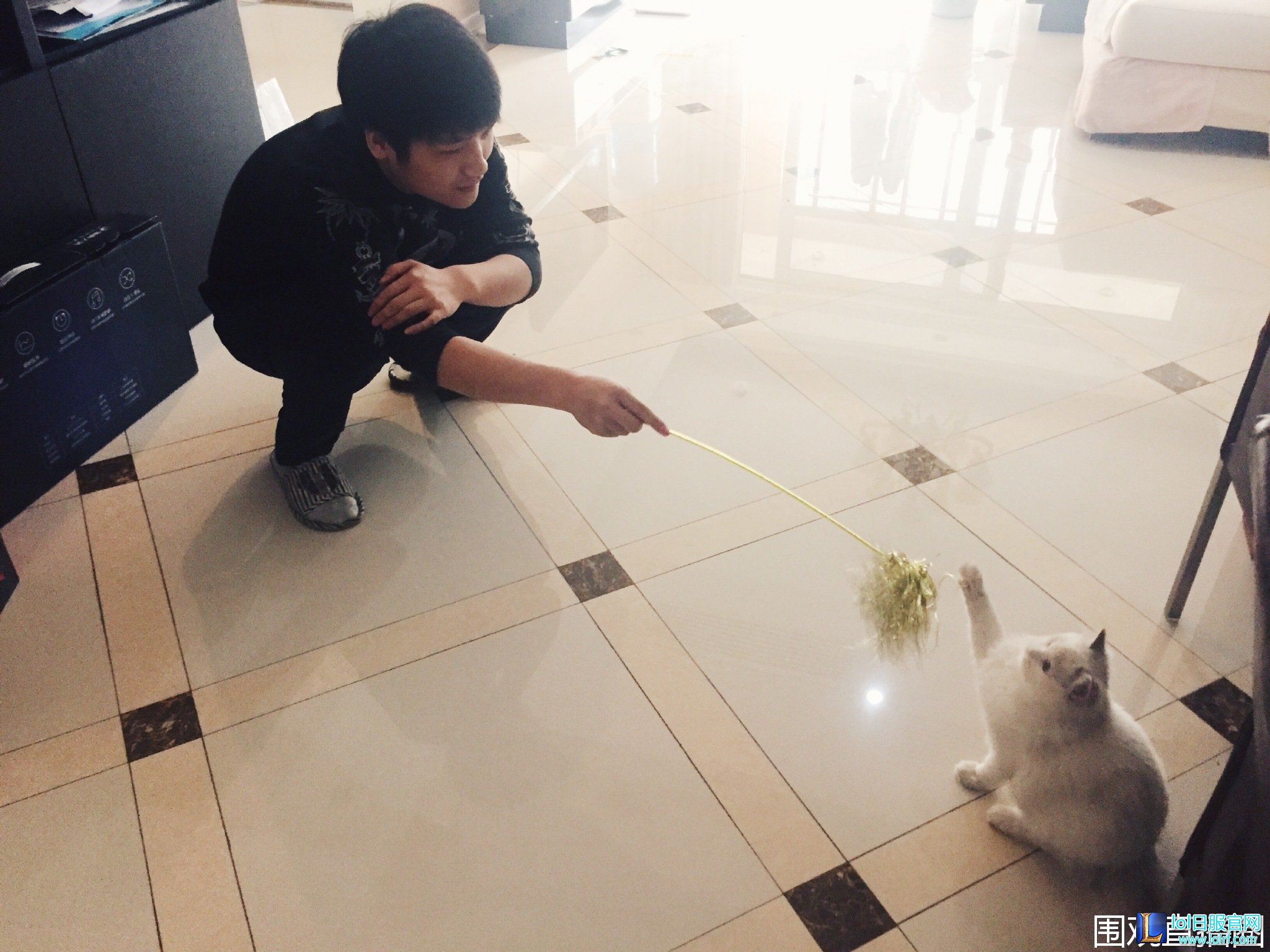 专访微笑:让我再年轻十岁我就复出