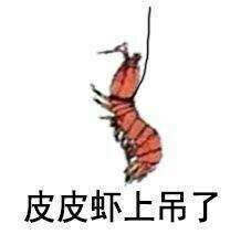视频做到深夜四点 小苍抱怨情人节还是单身狗