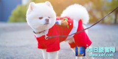 电竞圈的特殊网红们 赛跑拆快递无所不能！,lol日服