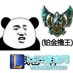 白金.jpg
