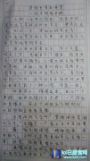 大司马已经成佳话：学生将其写入作文之中,lol日服