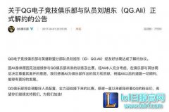 QG阿狸谈离队：没有阴谋论，我走跟诺夏无关！,lol日服