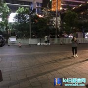 很难受！RNG教练赛后安慰小虎一幕引热议,lol日服