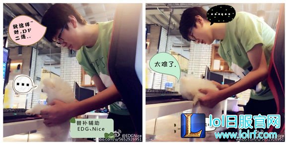 战队萌宠大盘点  队霸NICE人见人爱