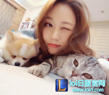 战队萌宠大盘点  队霸NICE人见人爱