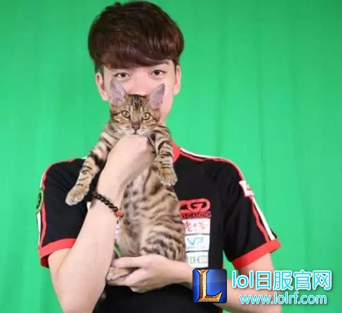 战队萌宠大盘点  队霸NICE人见人爱