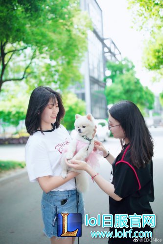 战队萌宠大盘点  队霸NICE人见人爱