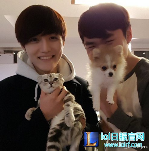 战队萌宠大盘点  队霸NICE人见人爱