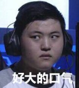 上分不知选哪个？职业选手来教你怎么选,lol日服