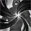 KaynR.png