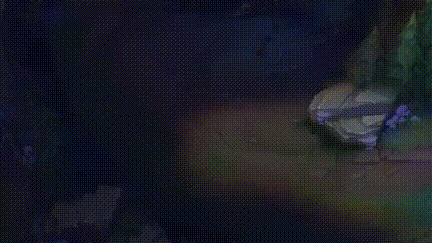 a (32).gif