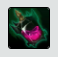 a (10).png