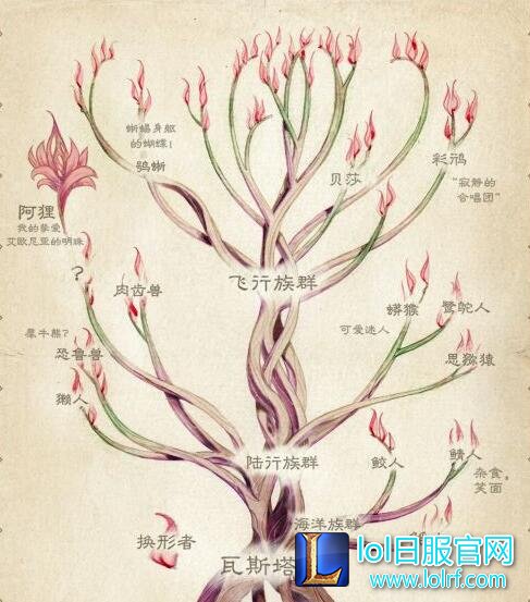 新英雄或为瓦斯塔亚人 爆发型的法师